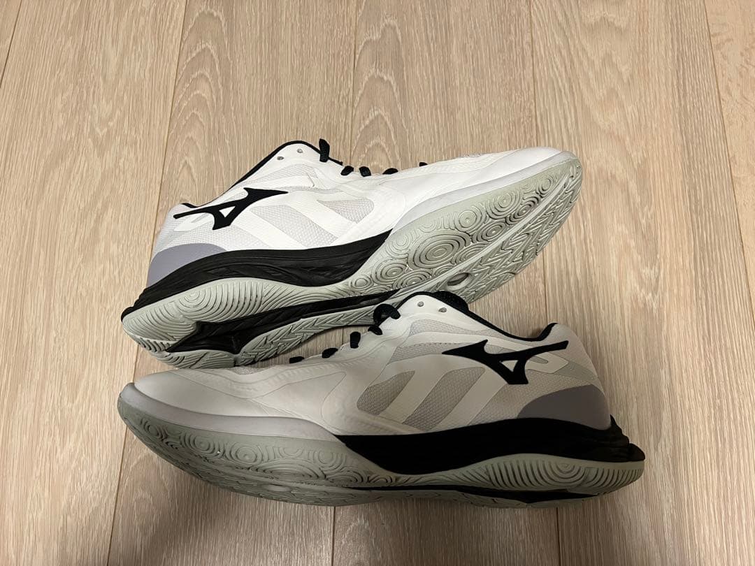 Mizuno ウエーブファングEL2