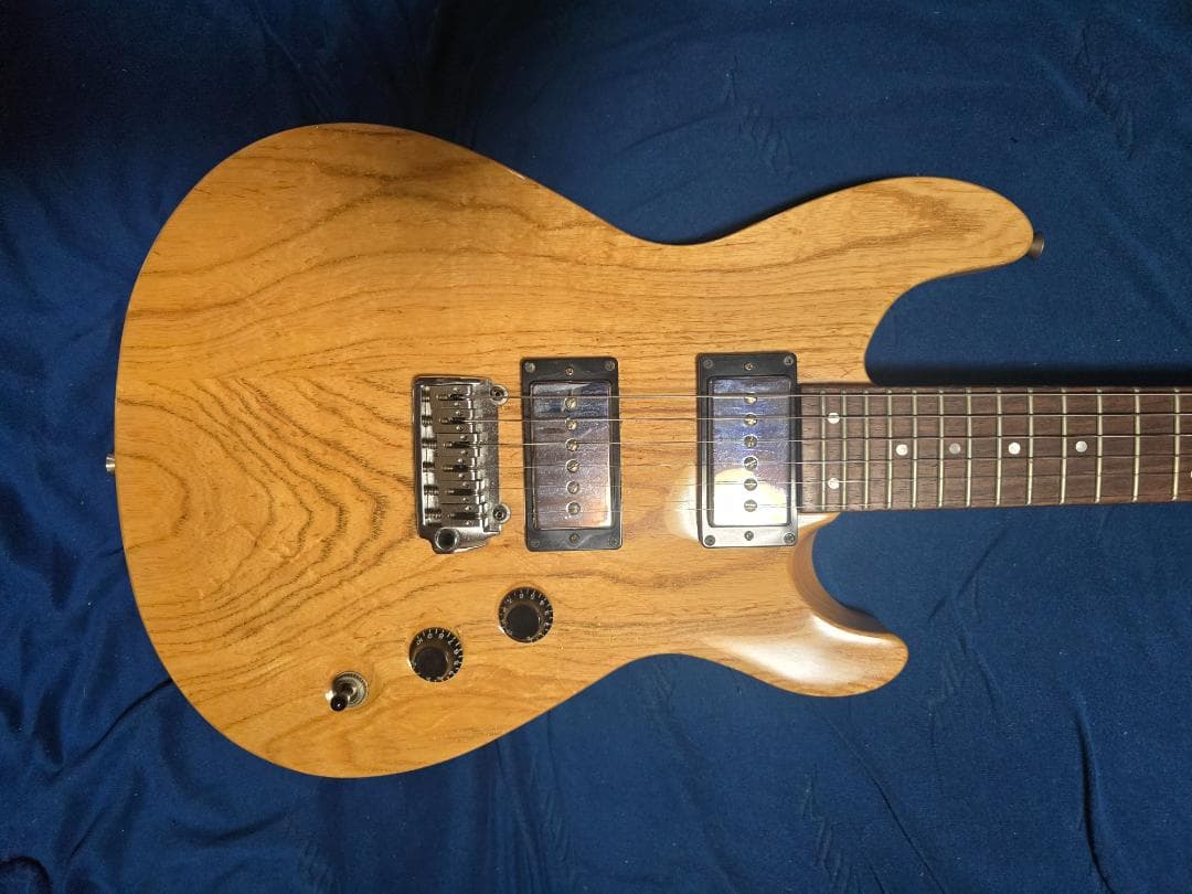 ギター FERNANDES APG-DLX JPC 2011 N