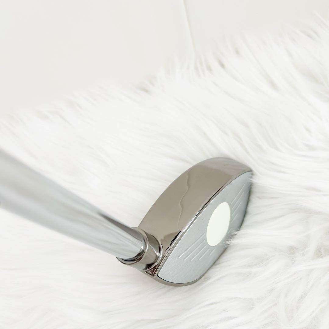 ゴルフの堅琴 アナライズ ゴルフ練習 マーク金井　スイング練習