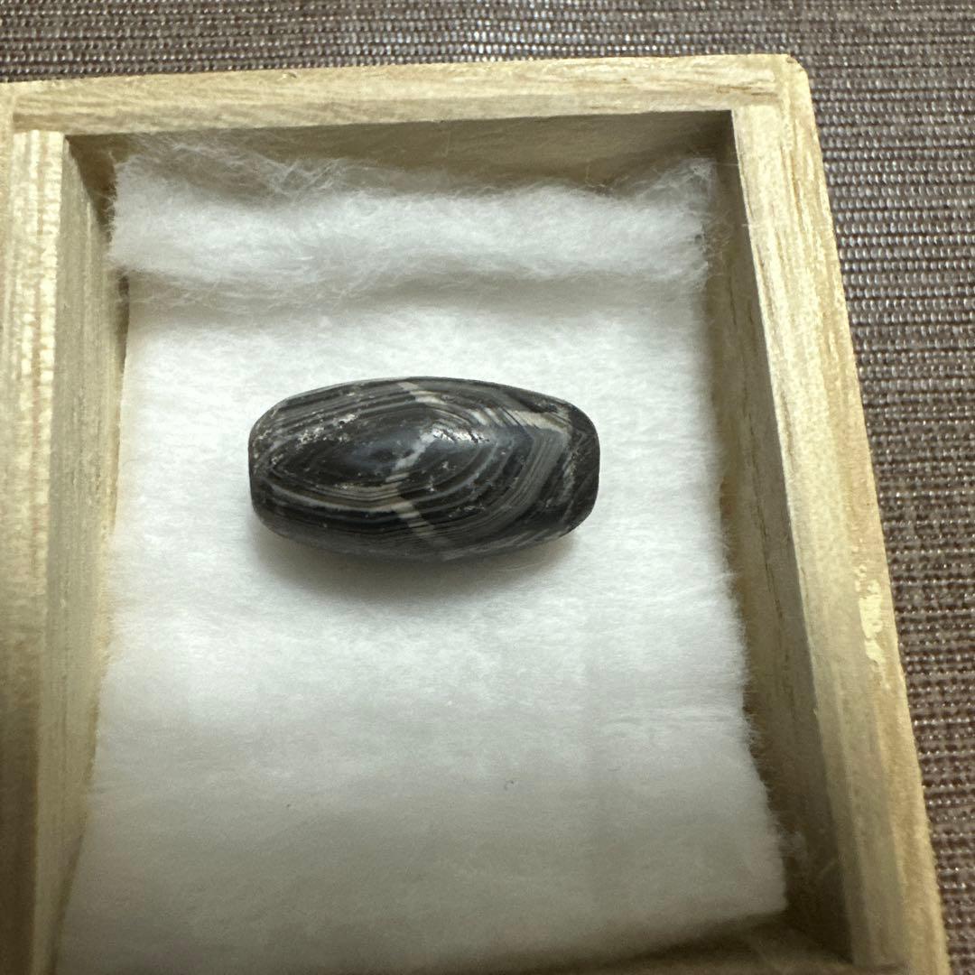 紅朱砂亀甲黒