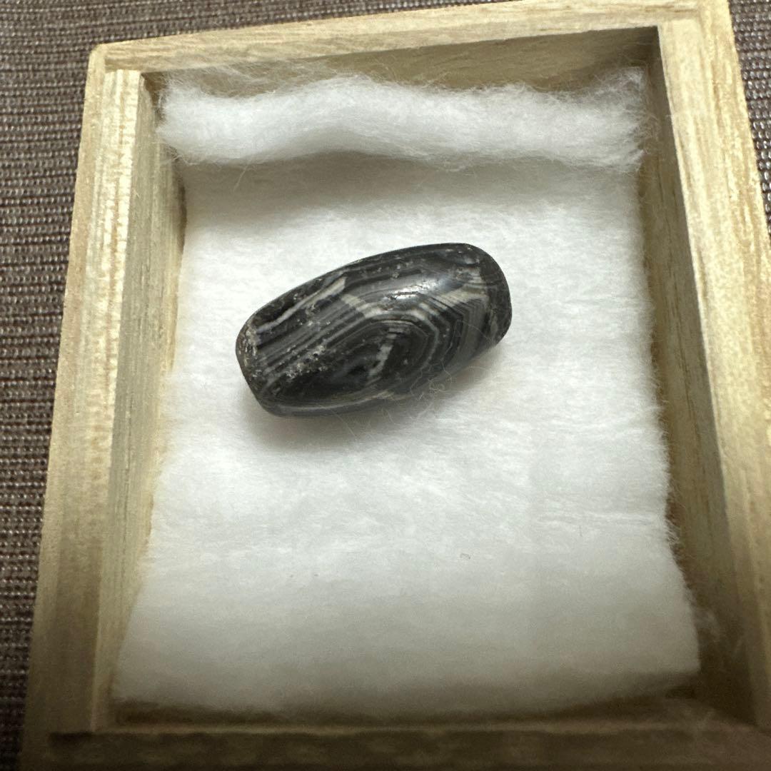 紅朱砂亀甲黒