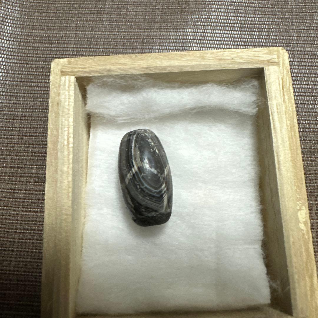 紅朱砂亀甲黒