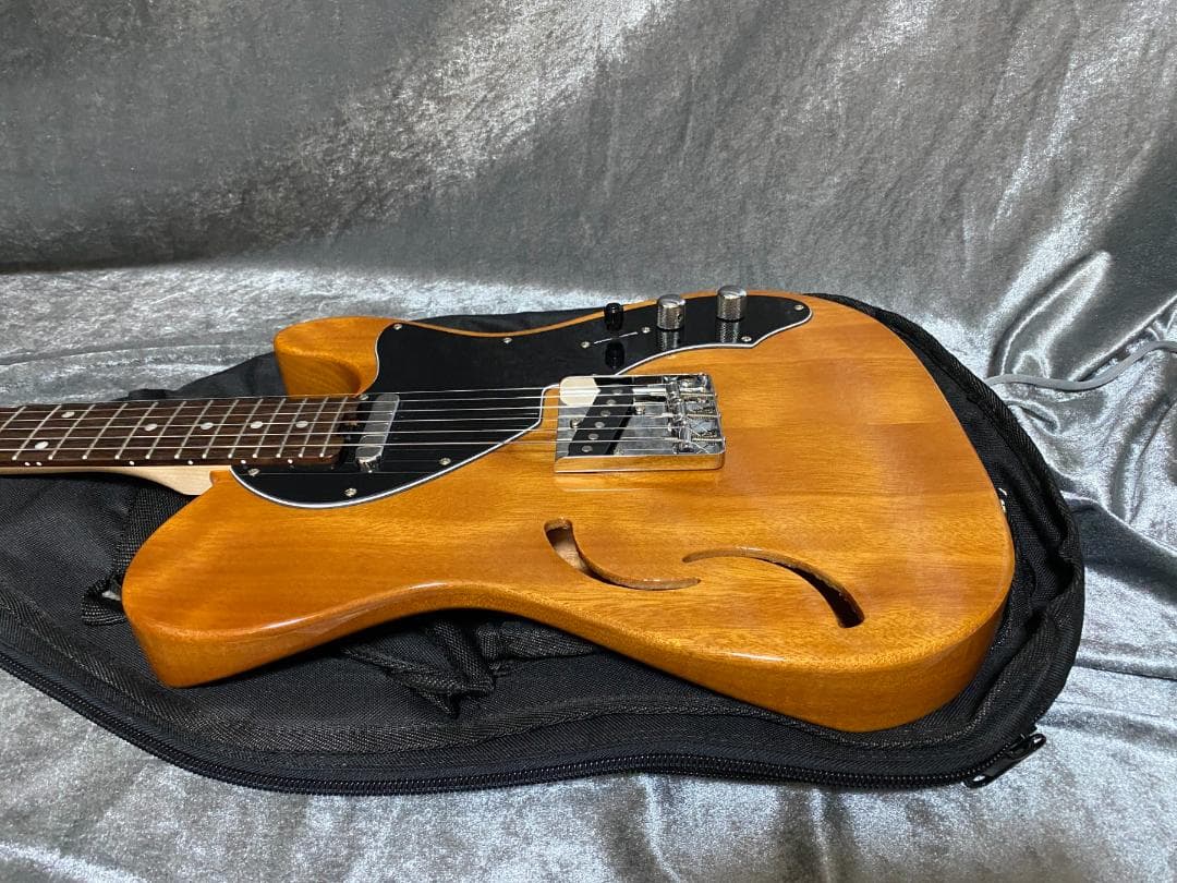 美品 限定生産モデル Schecter OL-PT-TH ホロウボディ