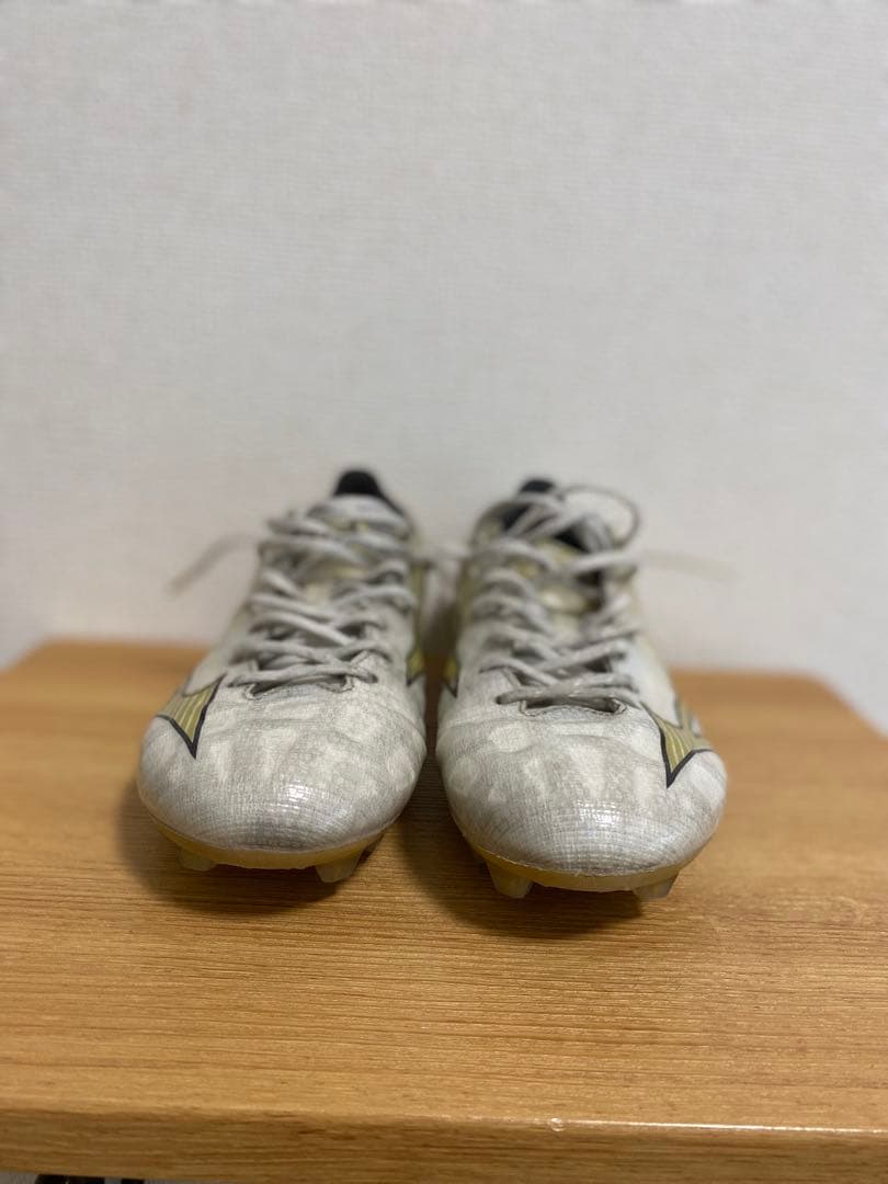 ヨッシー1107