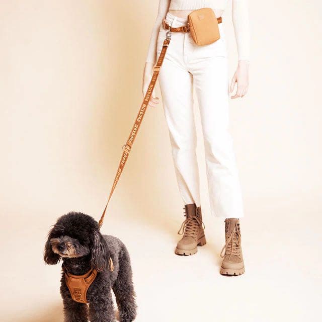 maxbone リード ハーネス セット　犬 わんこ ペット