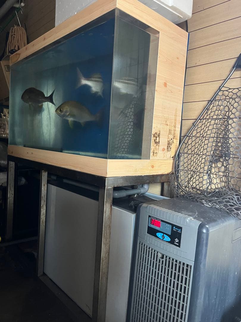活魚水槽　アクリル水槽