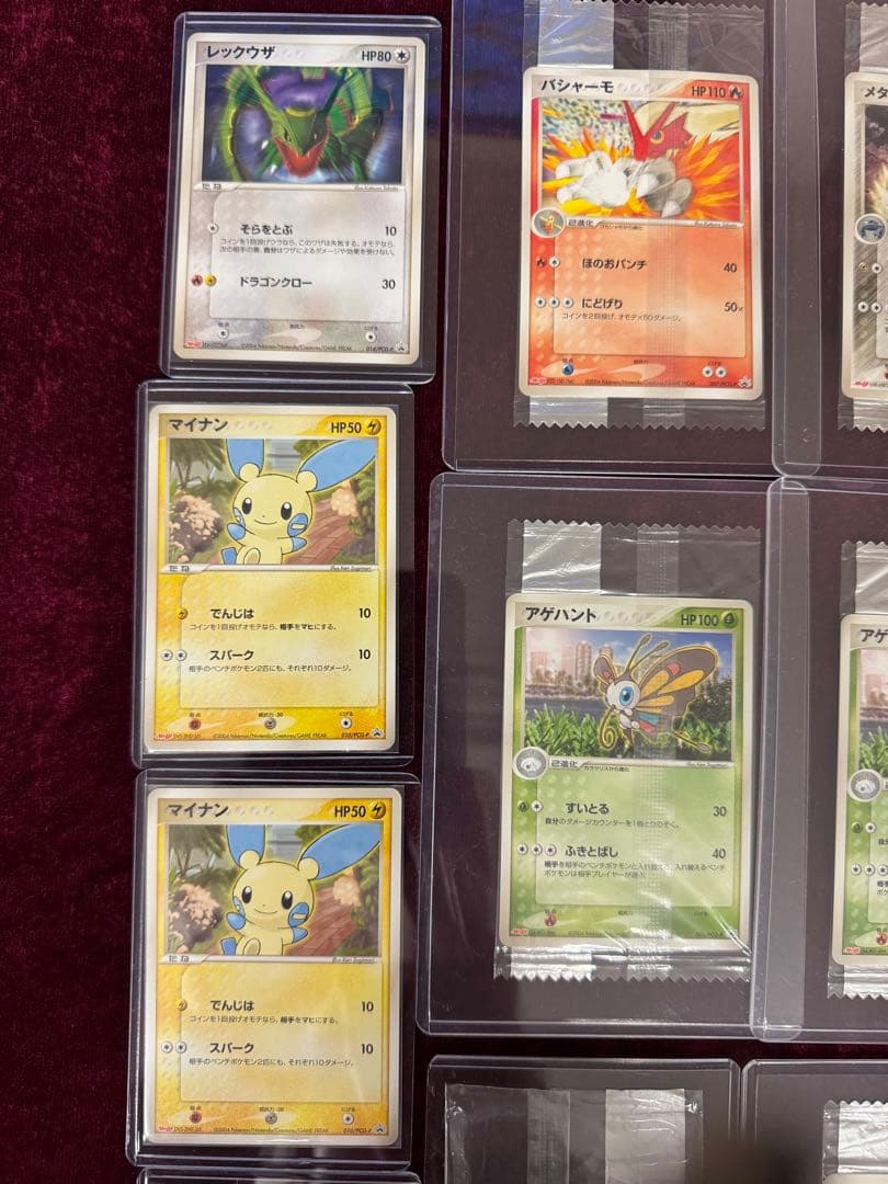 ポケモンカードセット Meiji 12枚セット