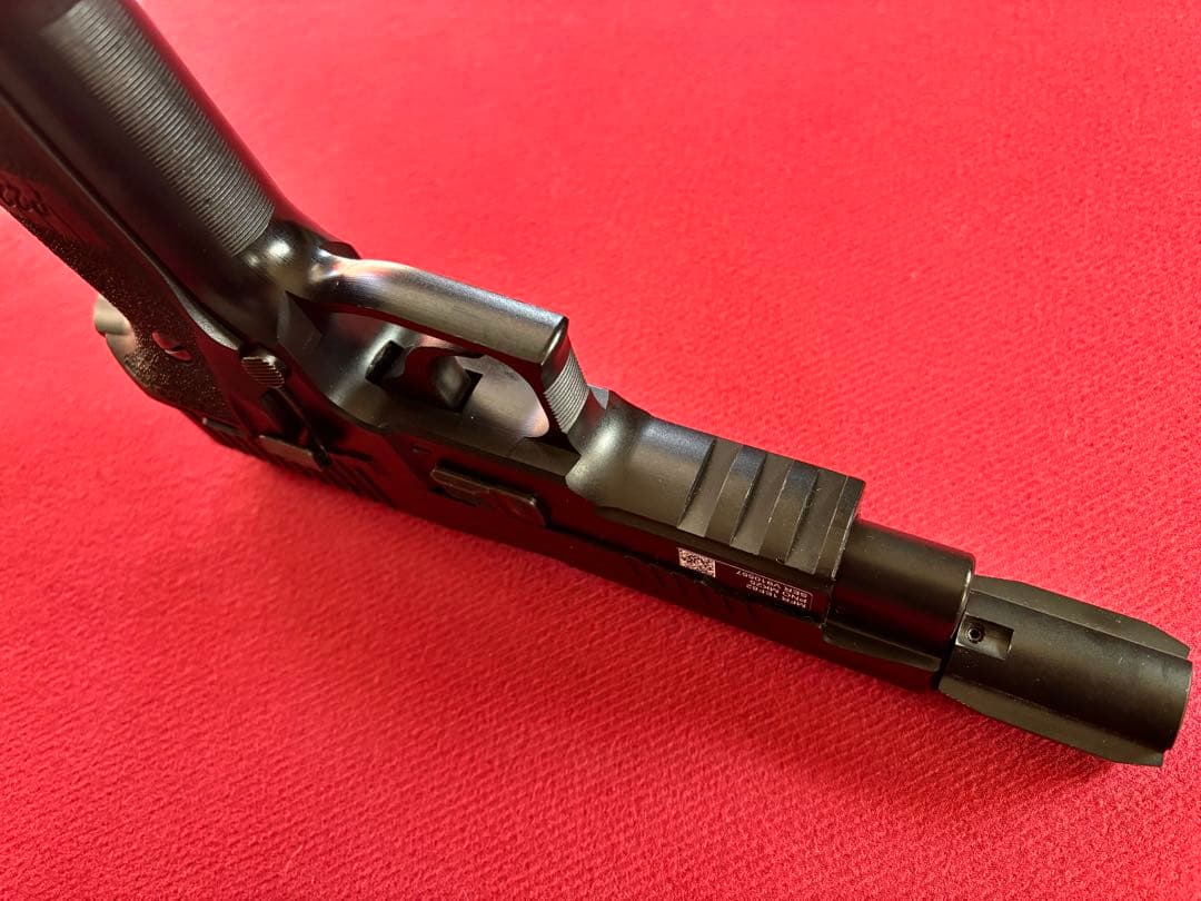 少数限定品SIG SAUER P226R Z-COMP