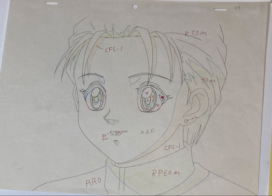 c８０　中判ハンターハンターセル画【ミト】動画.背景画付き