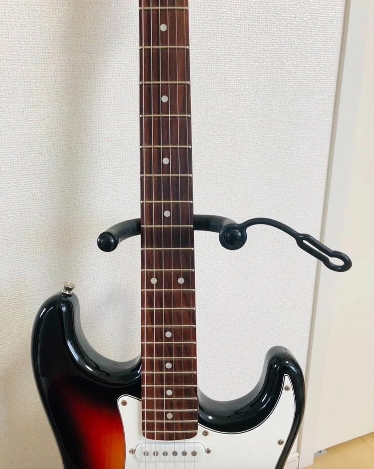 Bacchus BST-1R 3TS ストラトタイプ サンバースト ソフトケース