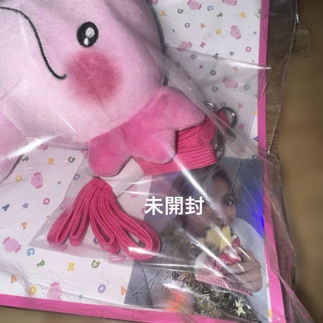佐藤大樹　うぱごろうセット