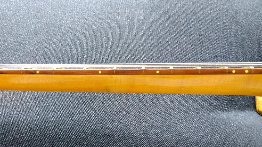 AXL Guitars Badwater SRO アクセルギターズ