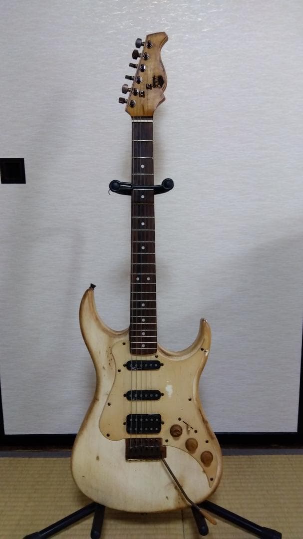 AXL Guitars Badwater SRO アクセルギターズ