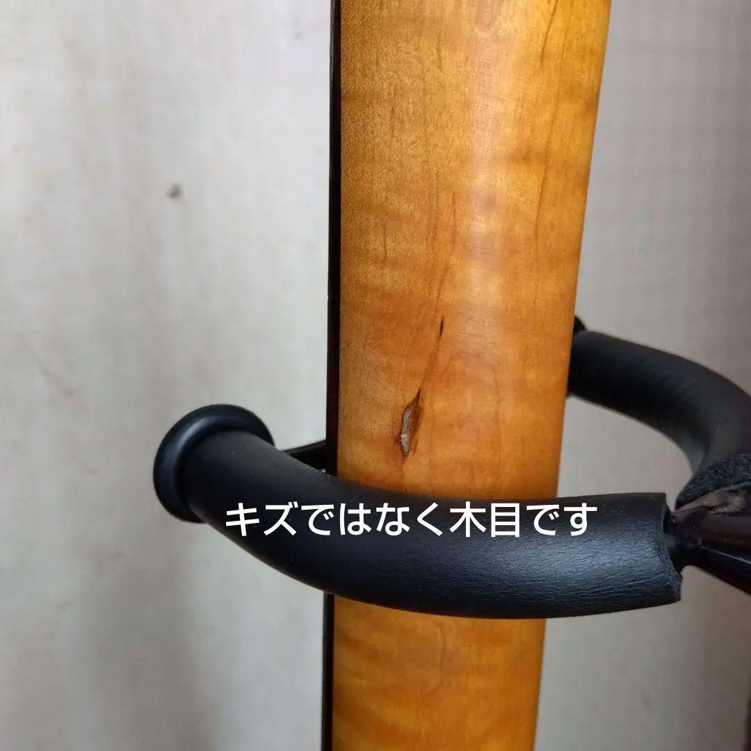 AXL Guitars Badwater SRO アクセルギターズ