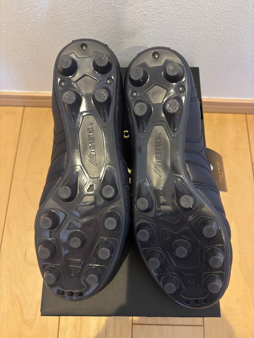 Mizuno Morelia Japan LTD モレリア 25 25.0