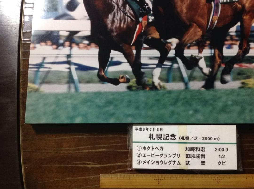 競馬パネル：ホクトベガ「1994年第30回札幌記念」 ※プレート付き