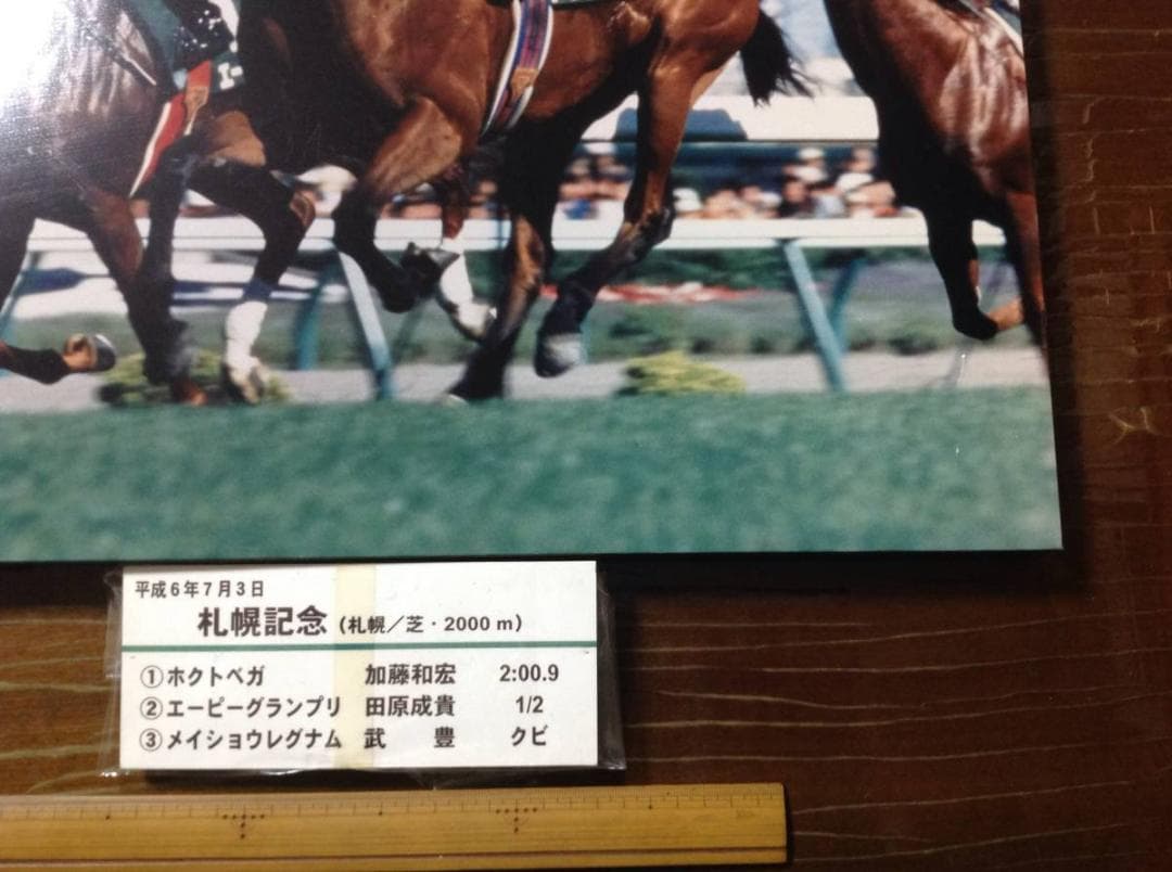 競馬パネル：ホクトベガ「1994年第30回札幌記念」 ※プレート付き