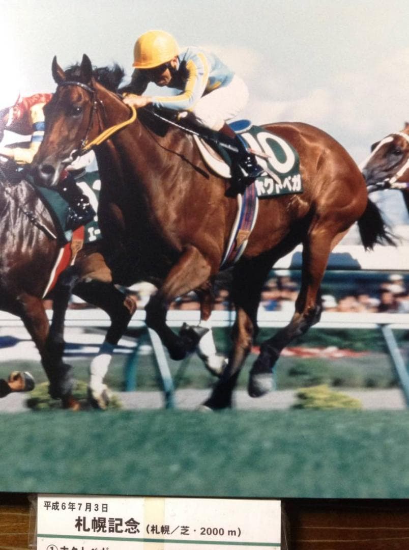 競馬パネル：ホクトベガ「1994年第30回札幌記念」 ※プレート付き