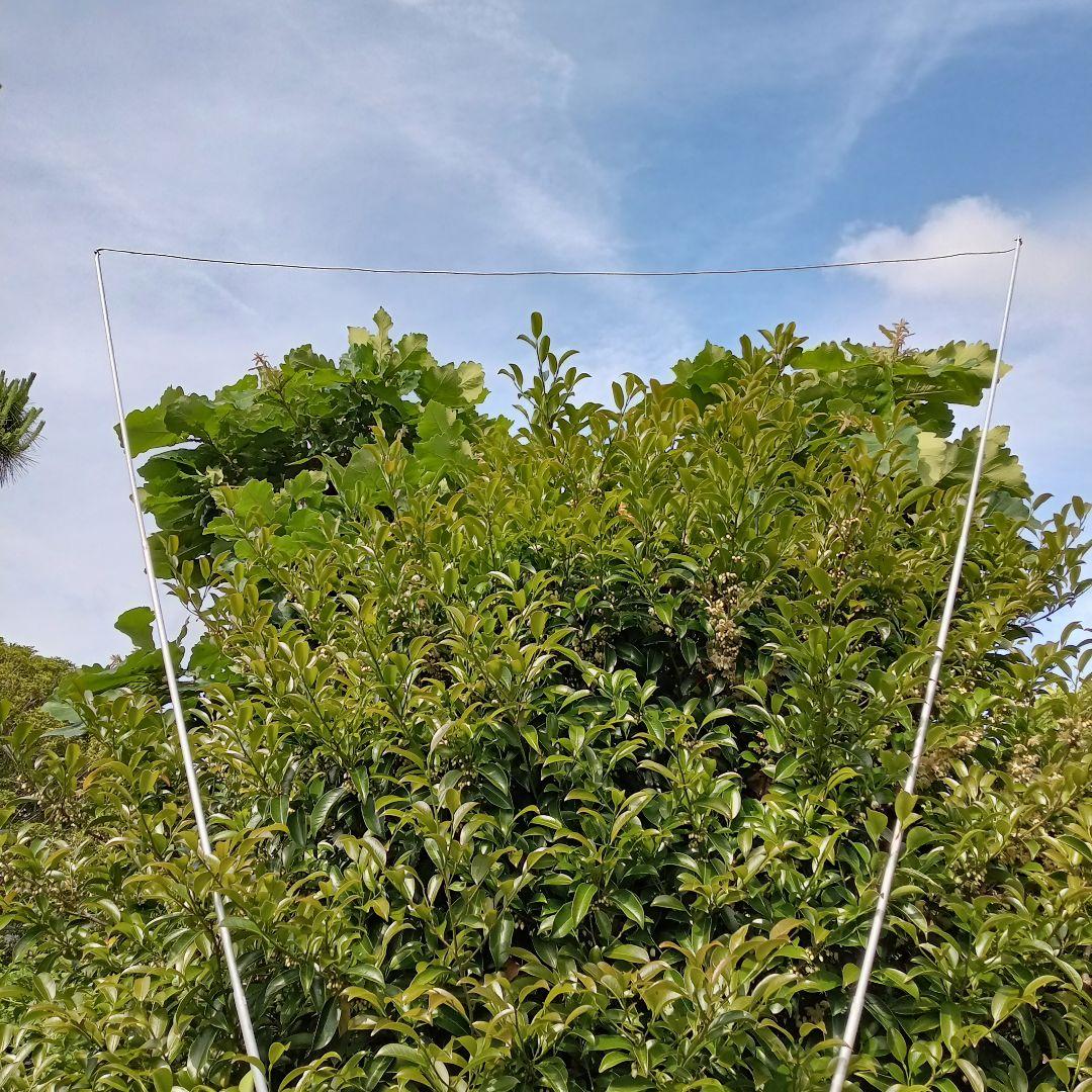 デルタループ アンテナ 50MHz
