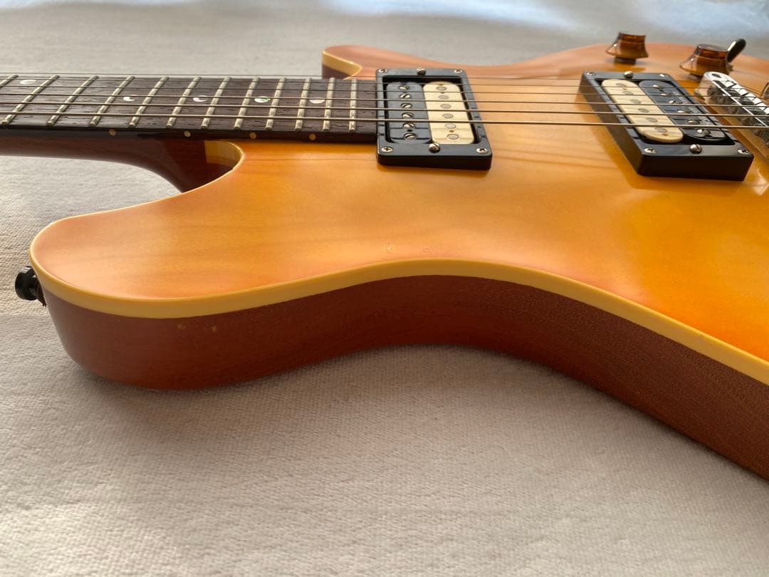 ESP POTBELLY CUSTOM ORDER （専用ESPハードケース付）