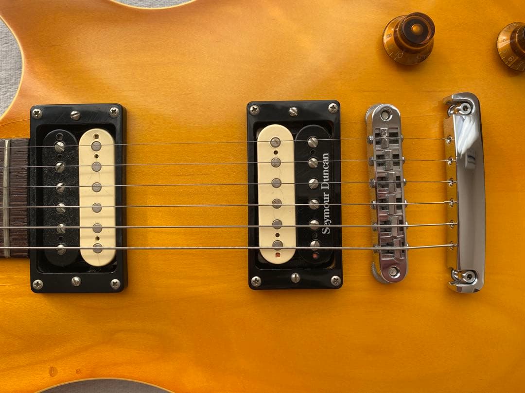 ESP POTBELLY CUSTOM ORDER （専用ESPハードケース付）