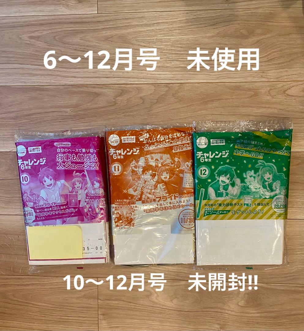 【ほぼ未使用‼︎‼︎ 】チャレンジ6年生➕中学準備号　1年分　進研ゼミ