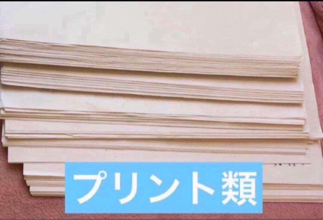 確認用【フル独学可】鉄緑会 高1 数学 発展講座I/II ノート　プリント　講習
