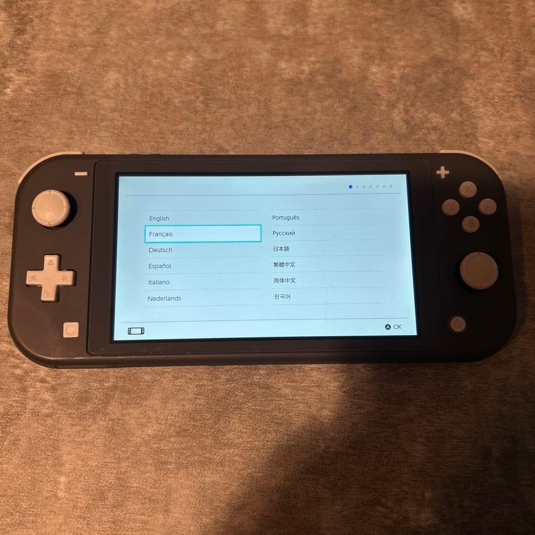 Nintendo Switch Lite グレー 本体 ACアダプター付き