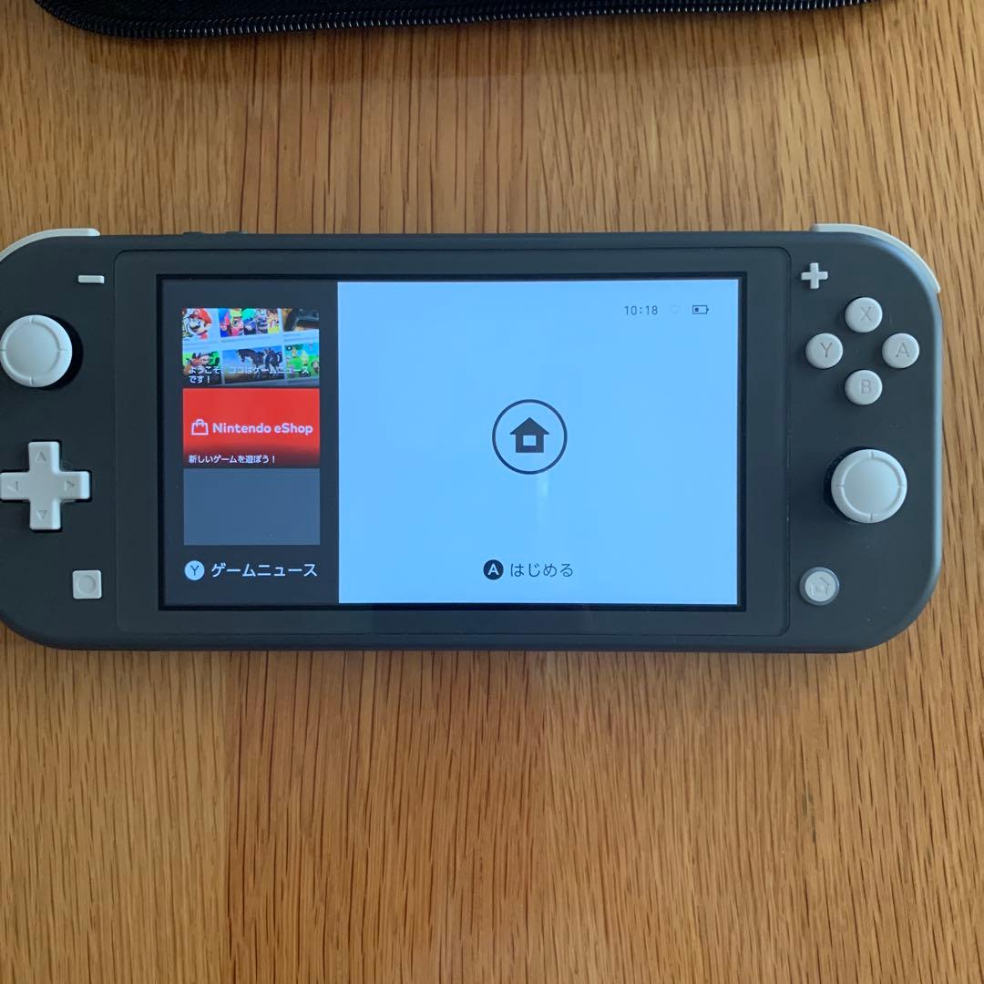 Nintendo Switch Lite グレー 本体 充電器 ケース付き