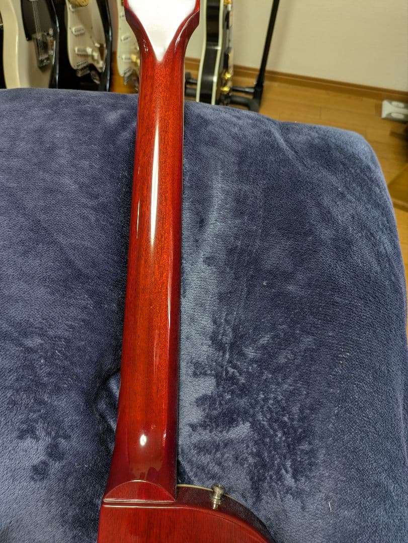 GibsonUSA　アペタイトバースト スラッシュモデル