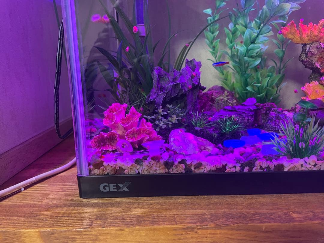 GEX 中型ガラス水槽 LEDライト付き