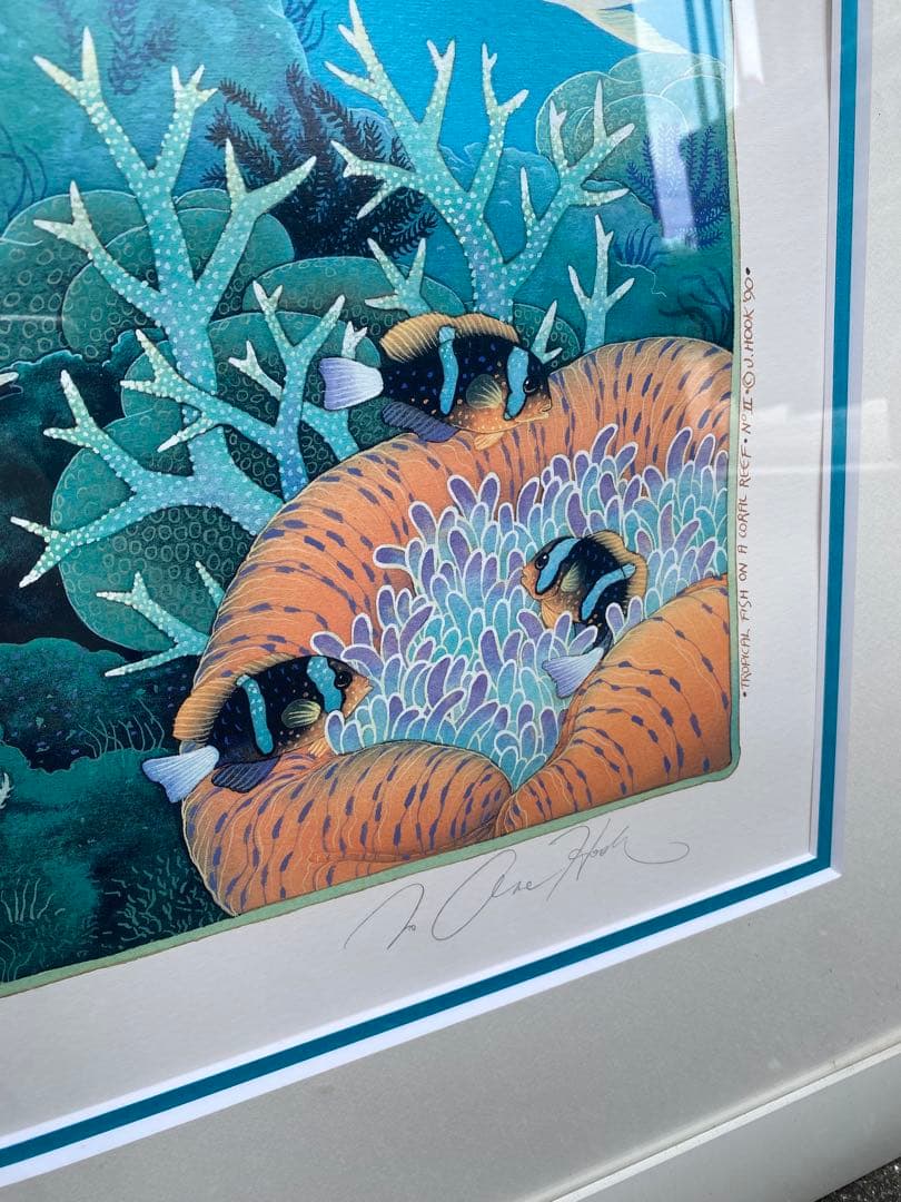 ジョアンフック　サンゴ礁の熱帯魚　285/900