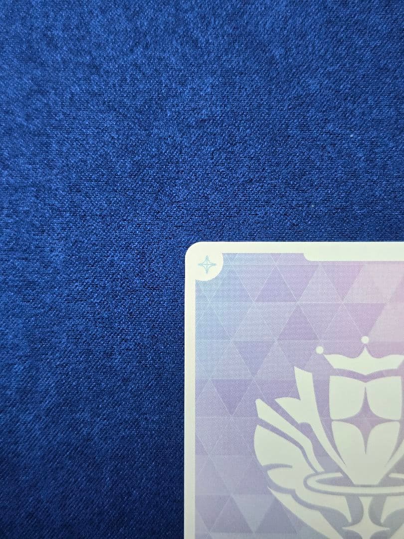 ホロカ　星街すいせい　SEC
