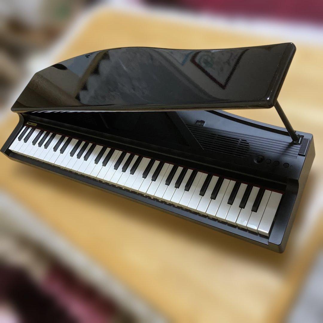 KORG マイクロピアノ ミニ鍵盤61鍵 61曲のデモソング内蔵