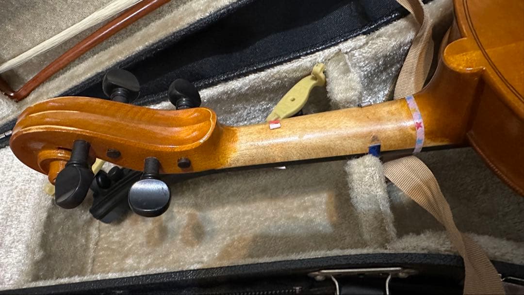 Roderich Paesold【バイオリンセット】 PA801J 1/4