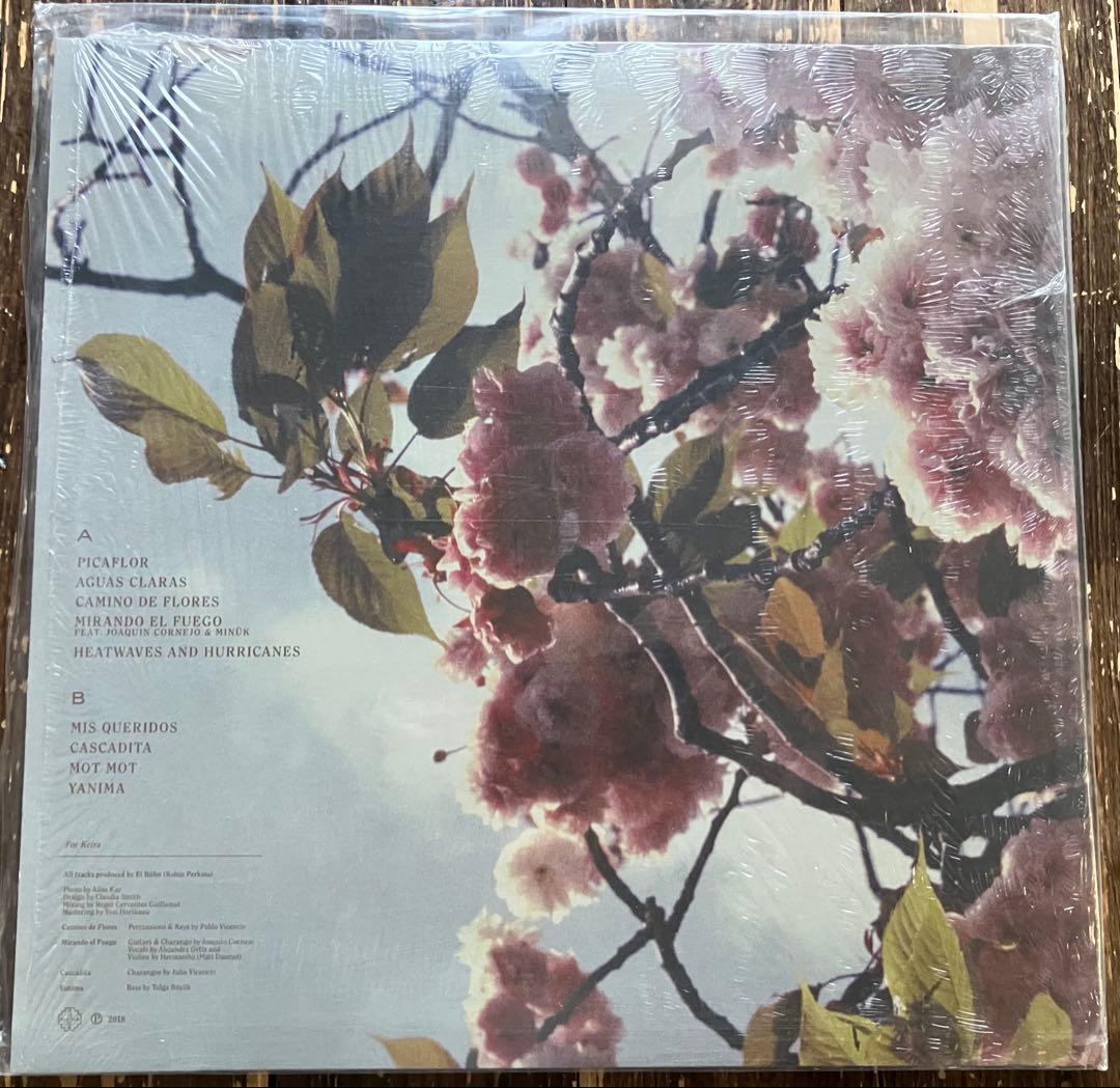 el buho camino de flores レア 名盤 ダウンテンポ