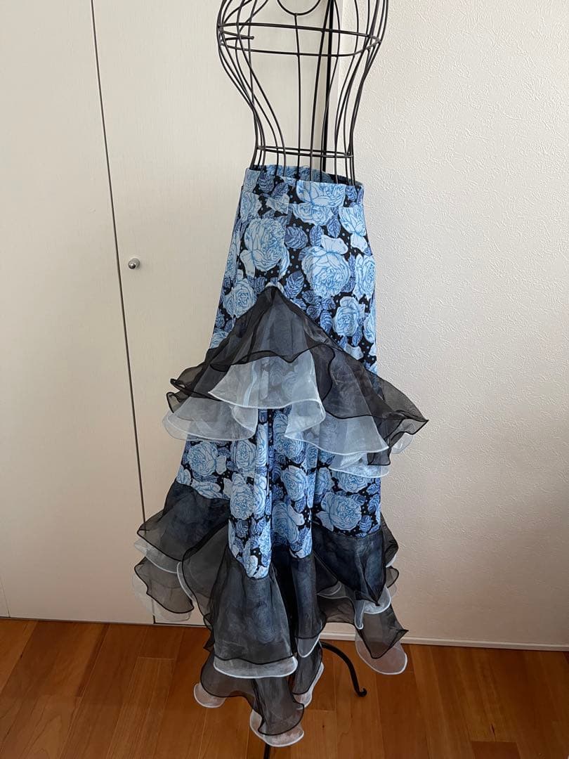美品❣️ ✨レイリーナ　社交ダンス　 セットアップ　パーティードレス✨