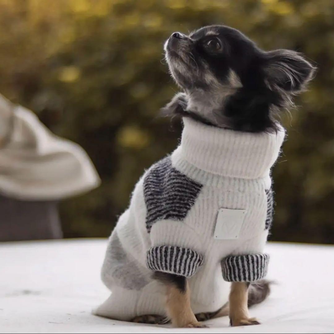 【OVER GLAM】犬服まとめ売り セット S 首輪リード付 定価10万円相当