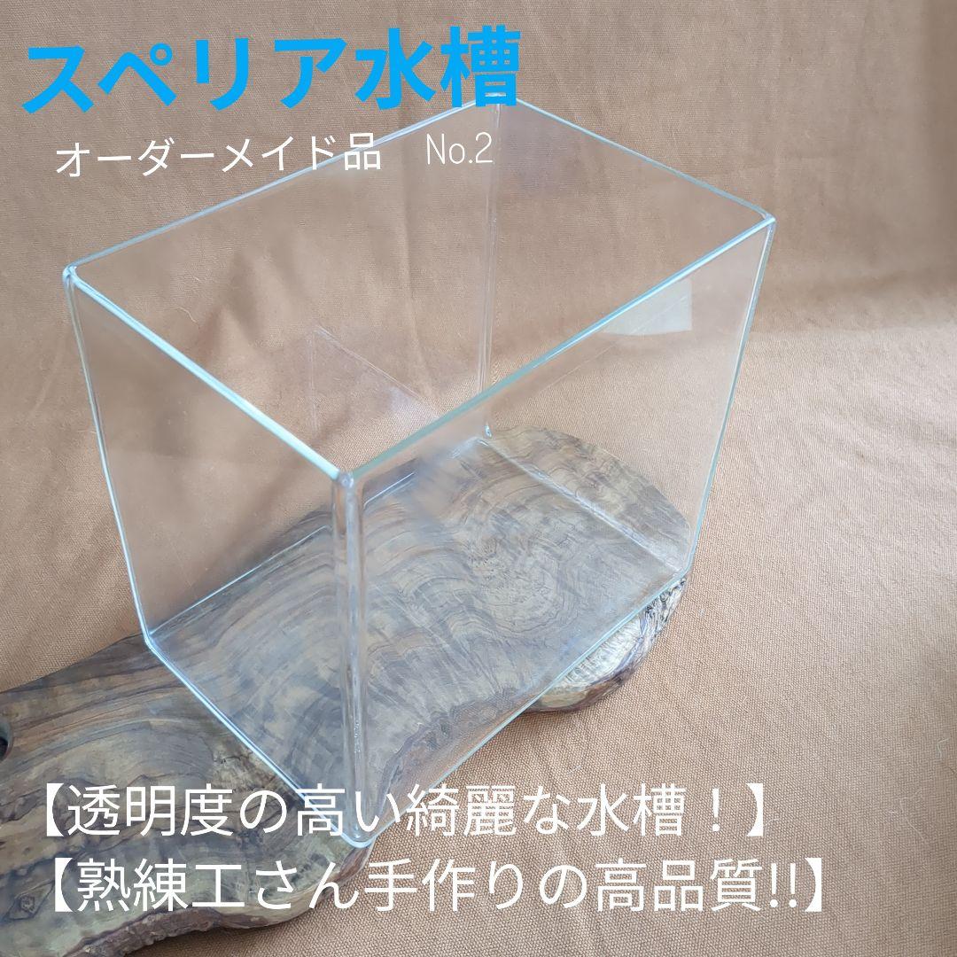 【高品質・透明度の高い　オーダーメイドのスペリア水槽　No.2 】