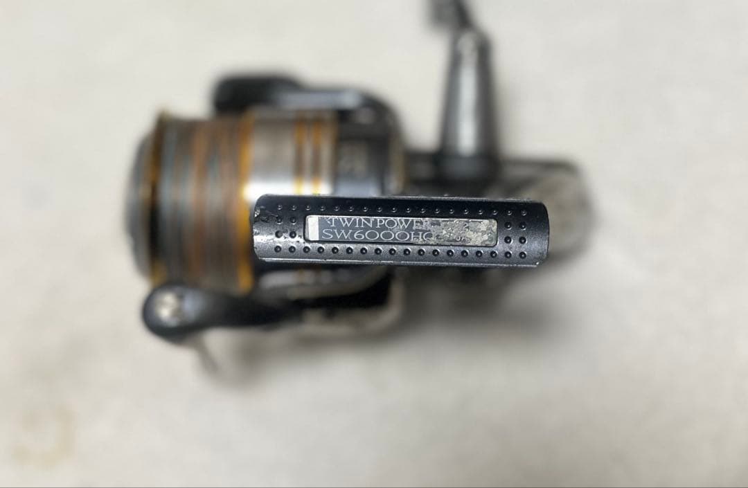 リール Twinpower SW6000HG