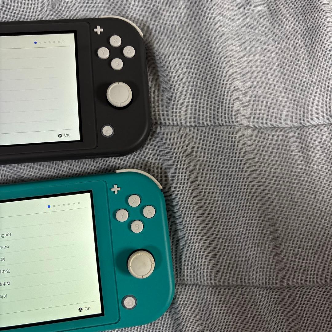 Nintendo Switch Lite ブラック＆ターコイズ 充電コードあり