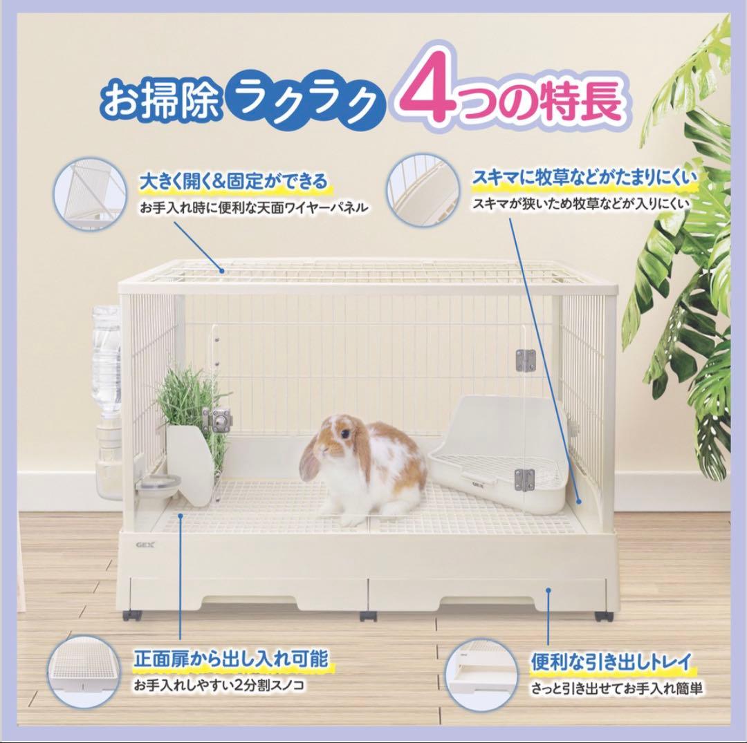 GEXクリアフロント80