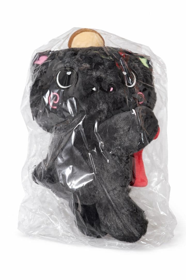 最終値下げ nct wish リク キャラクターバッグ 新品未開封 トレカつき