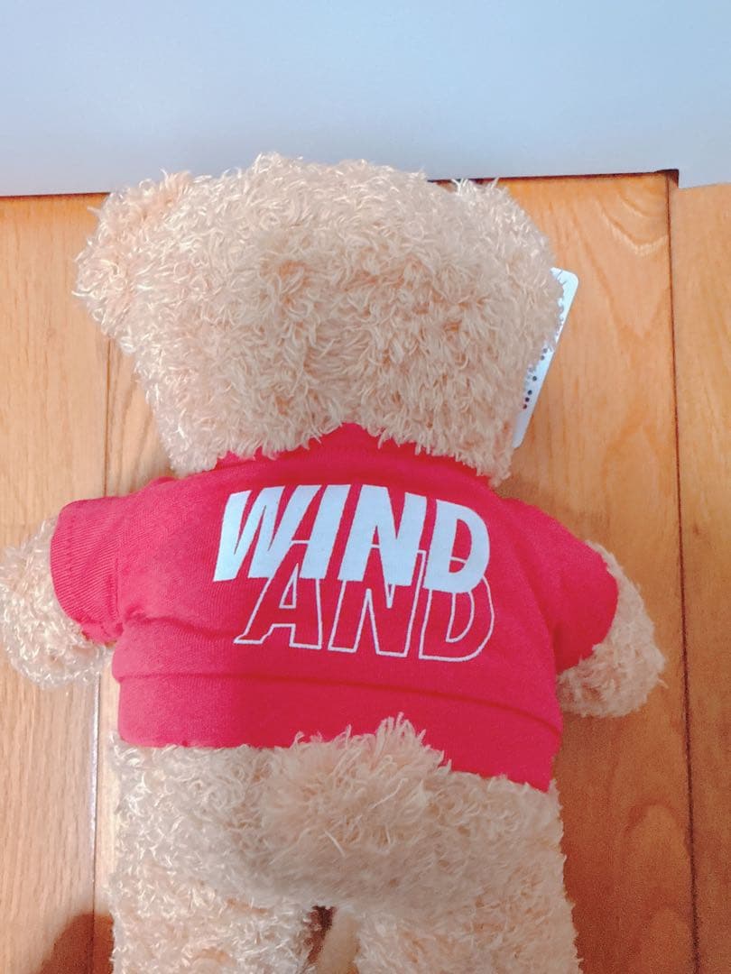 ウィンダンシー　SEA TEDDY BEAR