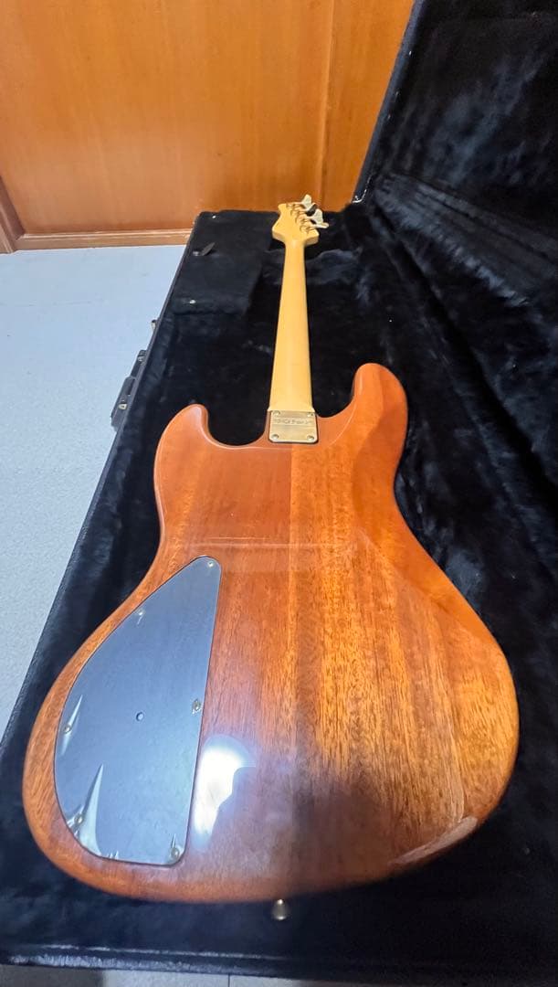 熊SCHECTER PW-EX-B-BL/FL