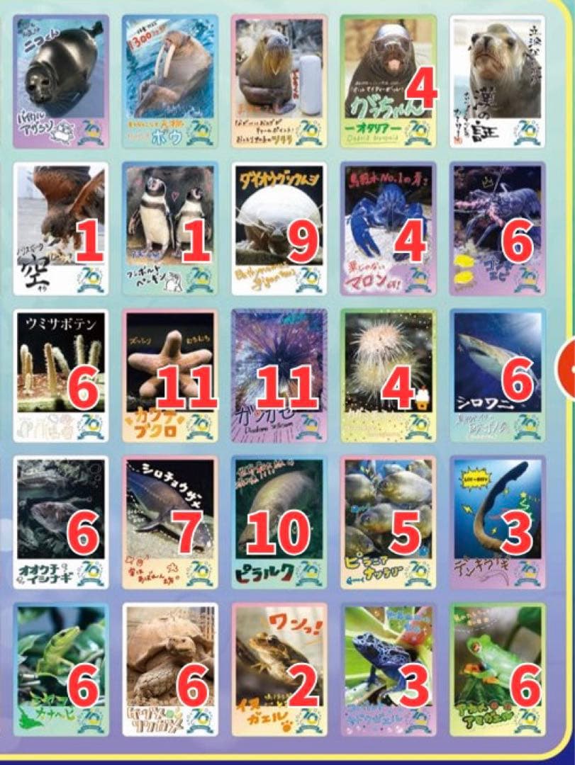 バラ売り　鳥羽水族館70周年記念コレクションカード