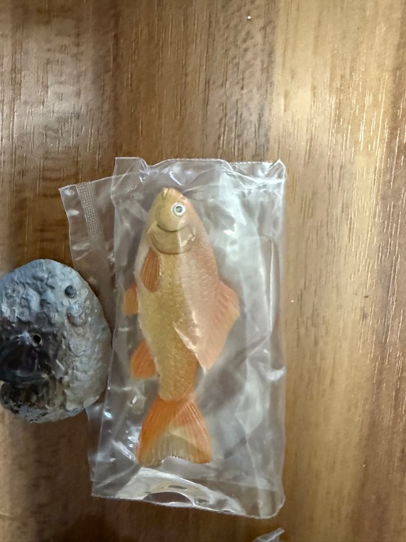 原色淡水魚図鑑II 初版フィギュア全16 種+シークレット3種、新品19点