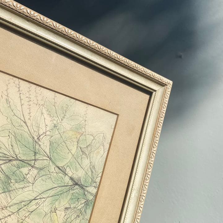 絵画　草花