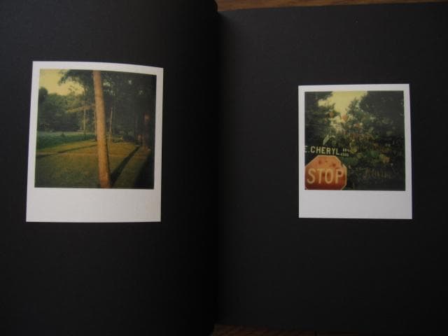 アート・デザイン・音楽 William Eggleston Polaroid SX-70