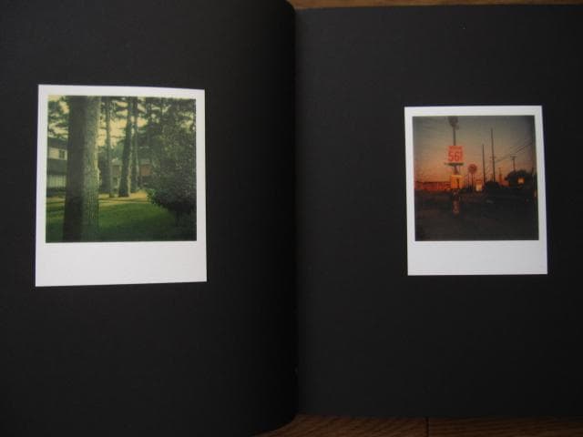 アート・デザイン・音楽 William Eggleston Polaroid SX-70